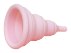 Lily Cup Compact Menstrual Cup