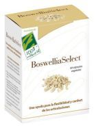 Boswellia Select 60 Veggie Capsules