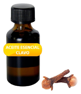 Clove Essential Oil 20 ml