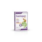 Gastopan Plus 30 Tablets